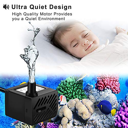 TDRFORCE 50GPH 3W Mini Submersible Water Pump for Aquariums, Fish Tank, Pond, Fountain, Hydroponics : Pet Supplies