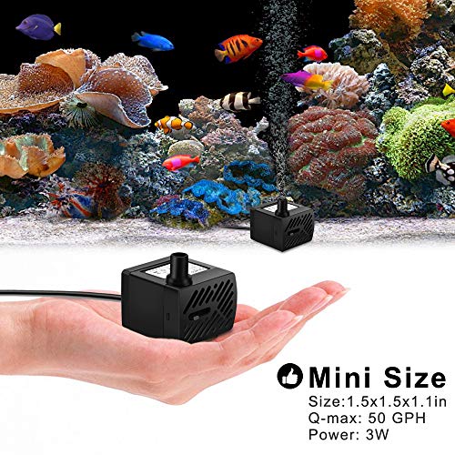 TDRFORCE 50GPH 3W Mini Submersible Water Pump for Aquariums, Fish Tank, Pond, Fountain, Hydroponics : Pet Supplies