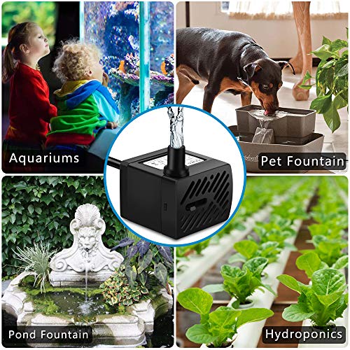 TDRFORCE 50GPH 3W Mini Submersible Water Pump for Aquariums, Fish Tank, Pond, Fountain, Hydroponics : Pet Supplies